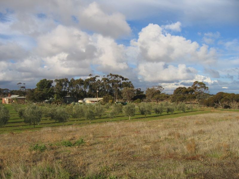 734 Ford Road, Pinery SA 5460