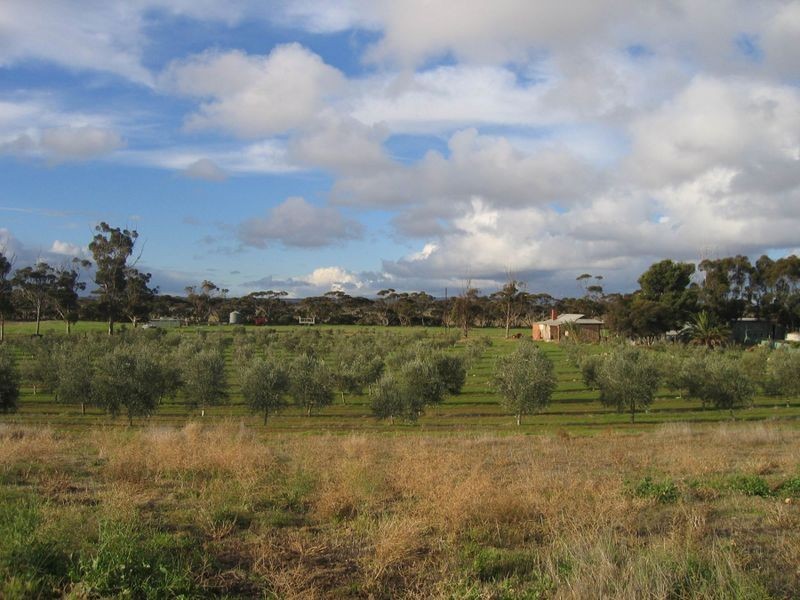 734 Ford Road, Pinery SA 5460