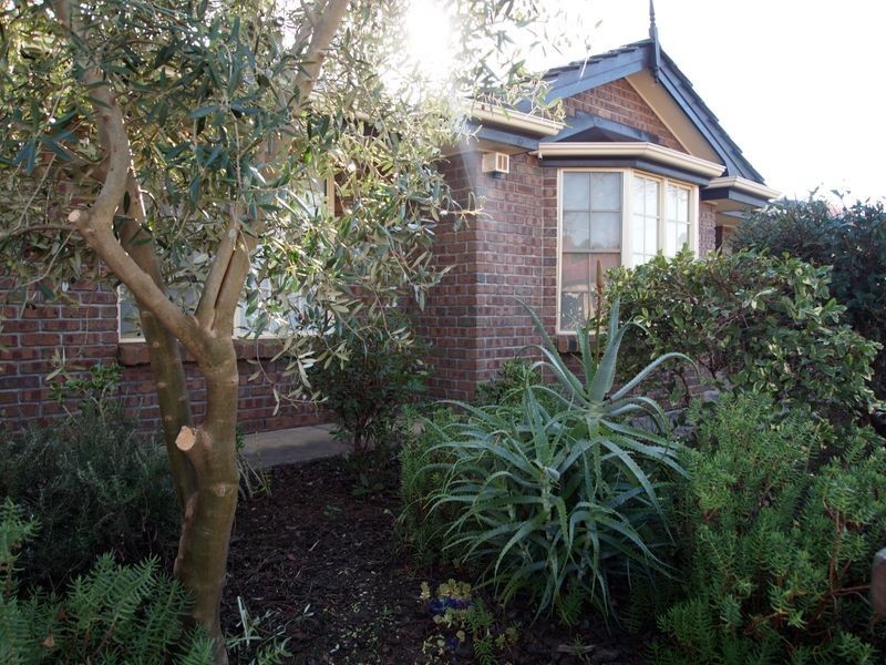 22 Burgan St, Sefton Park SA 5083