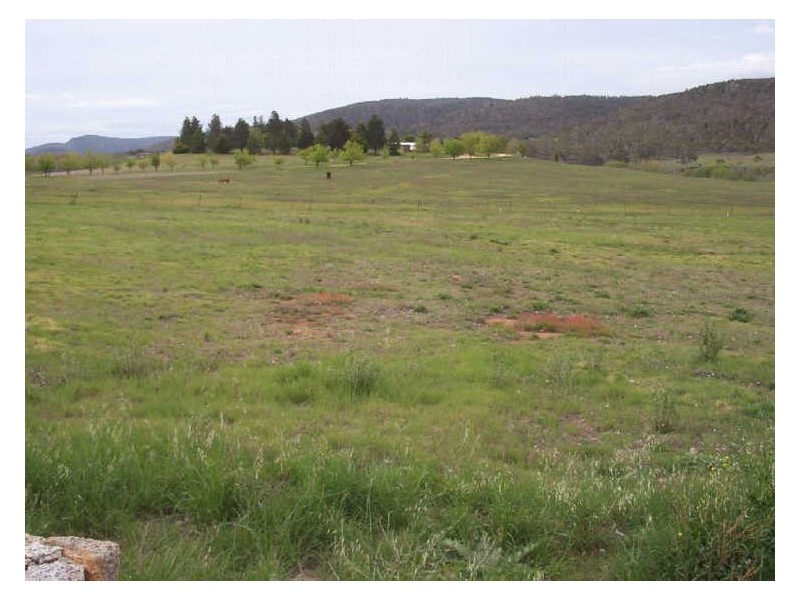 3 Snowy Creek Road, Cooma NSW 2630