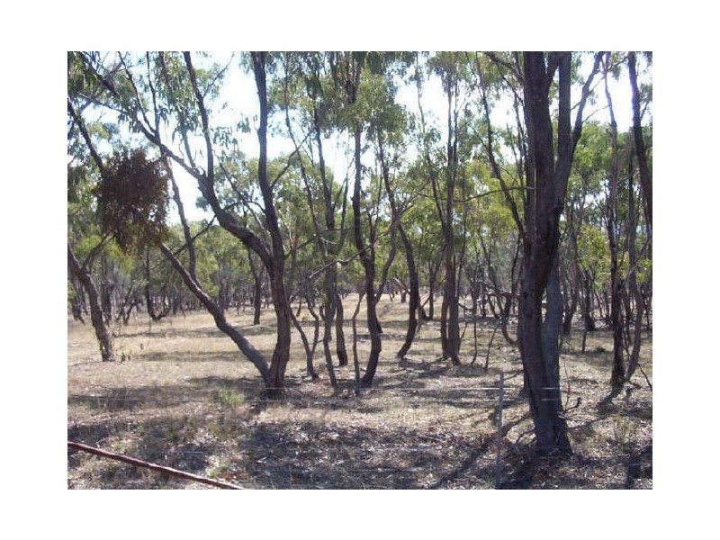 Lot 128 Ashvale Road, Adaminaby NSW 2629