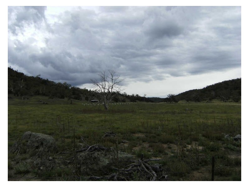 1427 Monaro Highway, Bunyan NSW 2630