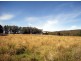 19 Camms Road, Bonang VIC 3888