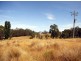 19 Camms Road, Bonang VIC 3888