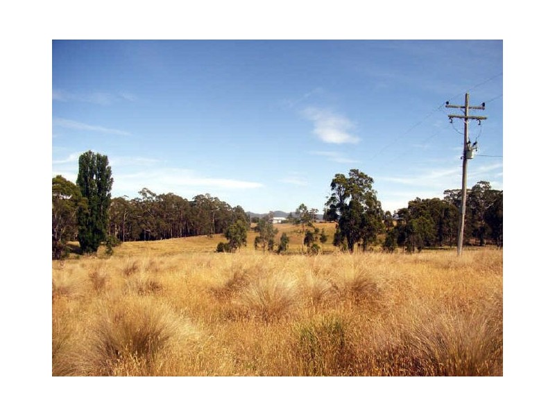 19 Camms Road, Bonang VIC 3888