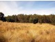 19 Camms Road, Bonang VIC 3888