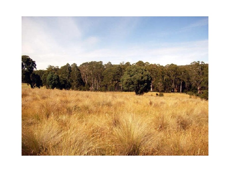 19 Camms Road, Bonang VIC 3888