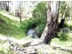 19 Camms Road, Bonang VIC 3888