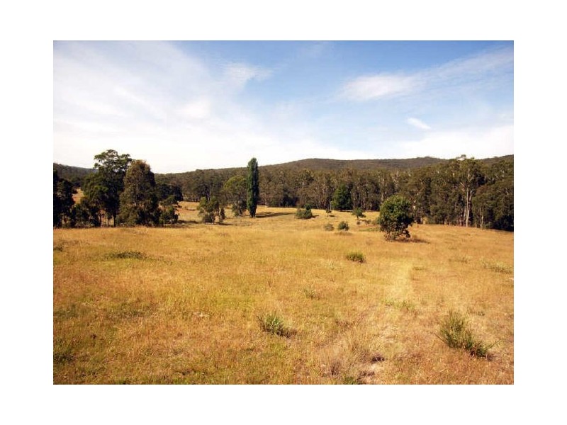 19 Camms Road, Bonang VIC 3888