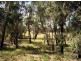 19 Camms Road, Bonang VIC 3888