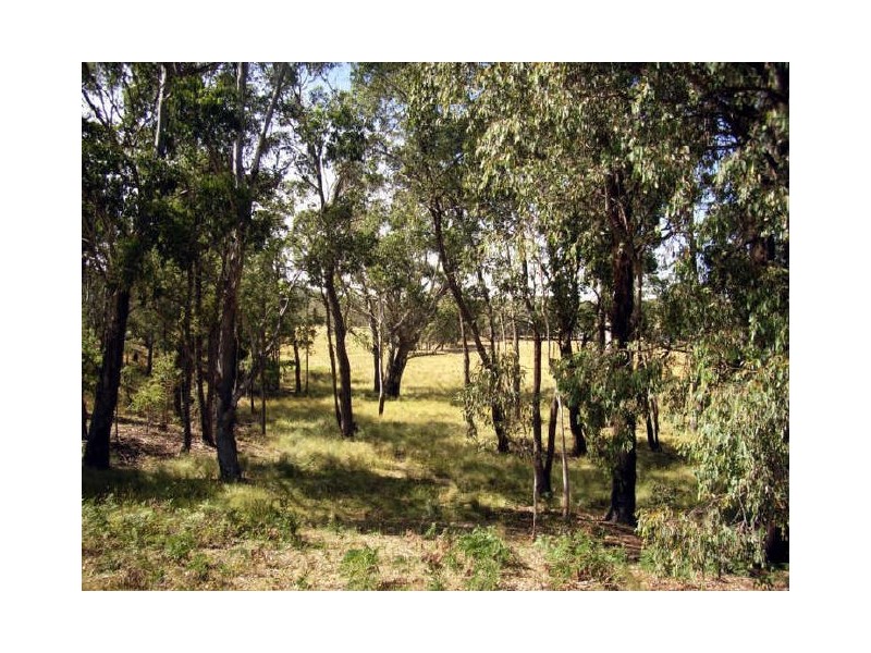 19 Camms Road, Bonang VIC 3888