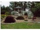 ‘Shandon’/893 Old Bega Road, Nimmitabel NSW 2631