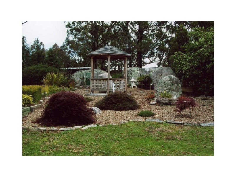 ‘Shandon’/893 Old Bega Road, Nimmitabel NSW 2631