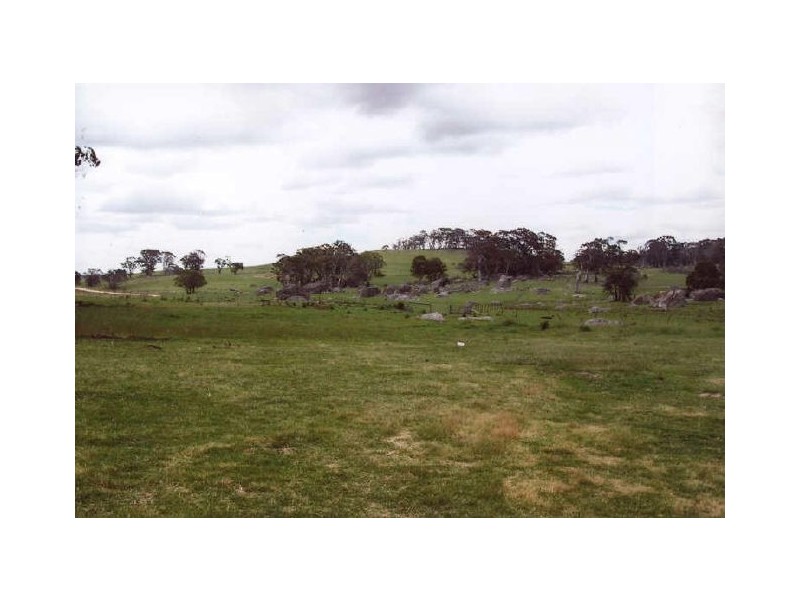 ‘Shandon’/893 Old Bega Road, Nimmitabel NSW 2631