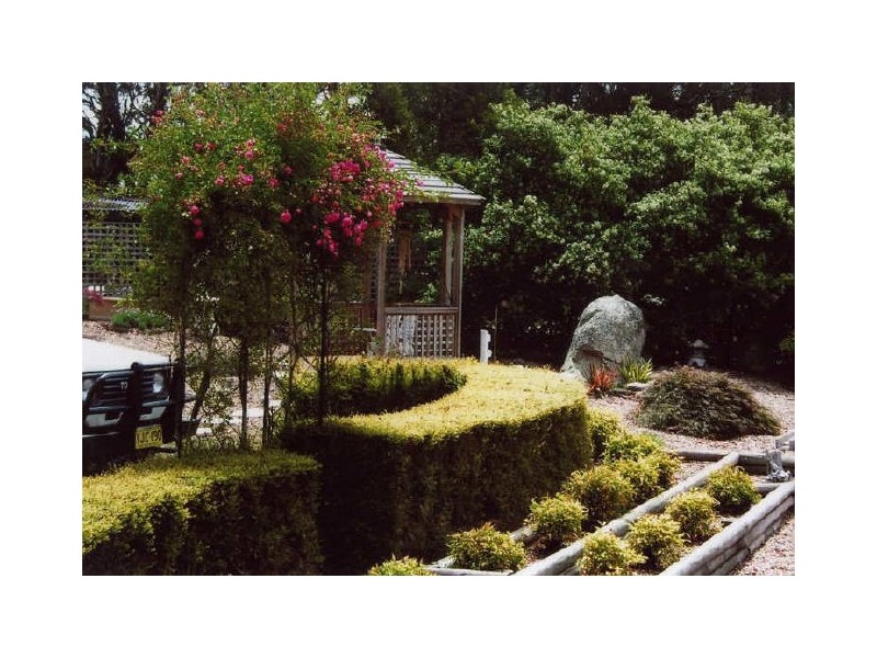 ‘Shandon’/893 Old Bega Road, Nimmitabel NSW 2631