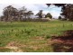‘Shandon’/893 Old Bega Road, Nimmitabel NSW 2631