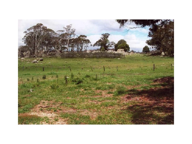 ‘Shandon’/893 Old Bega Road, Nimmitabel NSW 2631