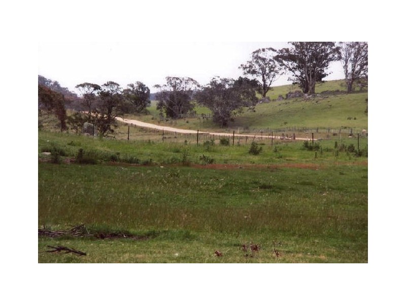 ‘Shandon’/893 Old Bega Road, Nimmitabel NSW 2631