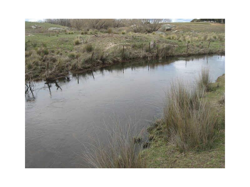 Lot 42 Bonang Highway, Delegate NSW 2633