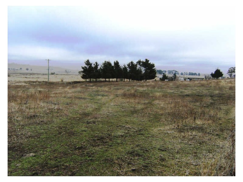 Lot 4 Otway And Lucan Street Cnr, Nimmitabel NSW 2631