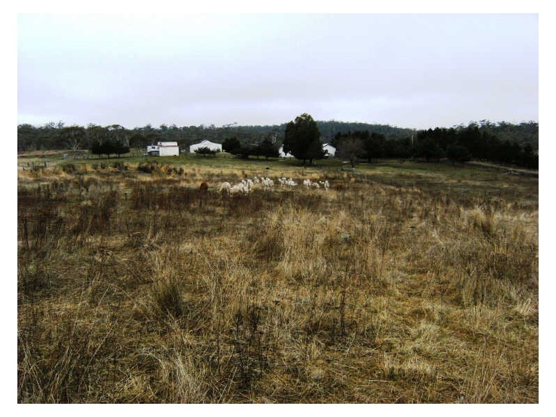 Lot 4 Otway And Lucan Street Cnr, Nimmitabel NSW 2631
