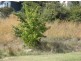Lot 68 Denison Street, Cooma NSW 2630