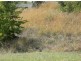 Lot 68 Denison Street, Cooma NSW 2630