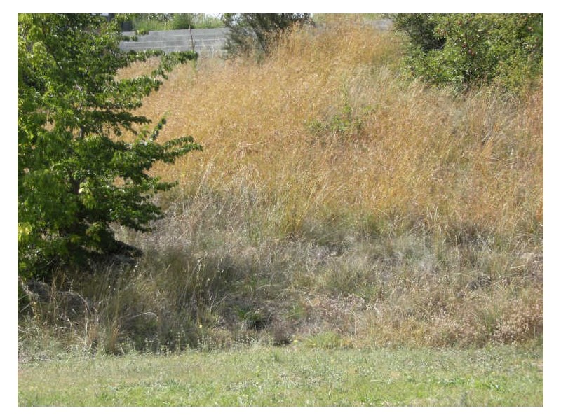 Lot 68 Denison Street, Cooma NSW 2630
