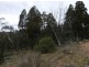 166 Yallakool Road, Cooma NSW 2630
