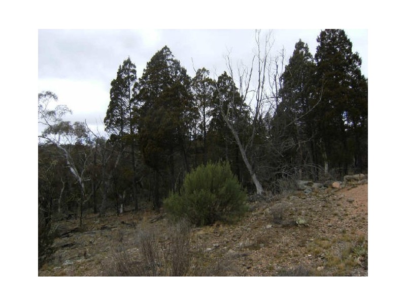 166 Yallakool Road, Cooma NSW 2630