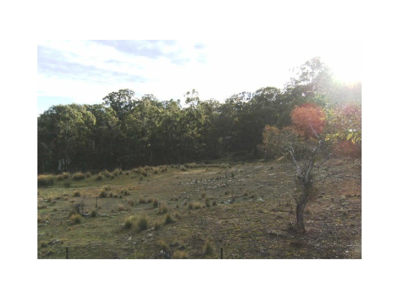 Lot 5 Countegany Road, Numeralla NSW 2630