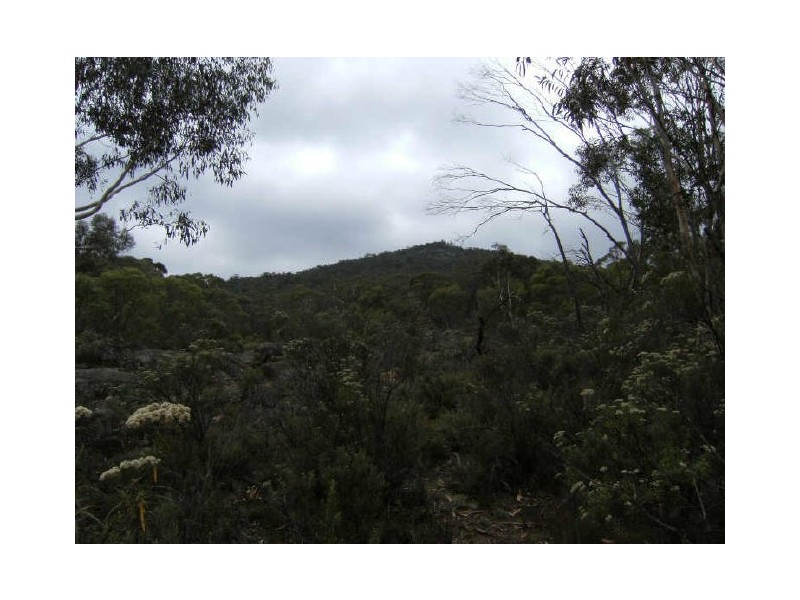 129 Ashvale Road, Adaminaby NSW 2629