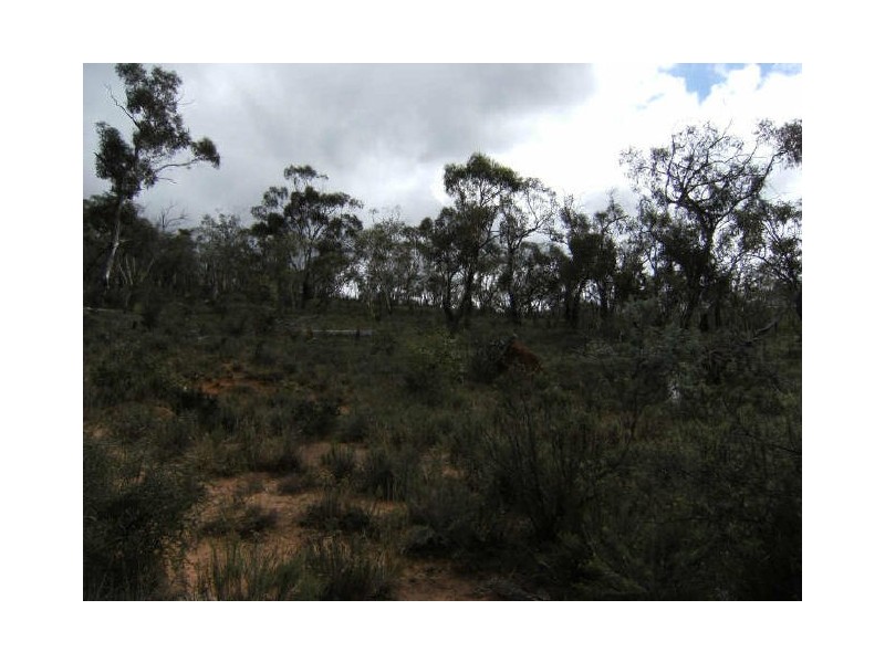 129 Ashvale Road, Adaminaby NSW 2629