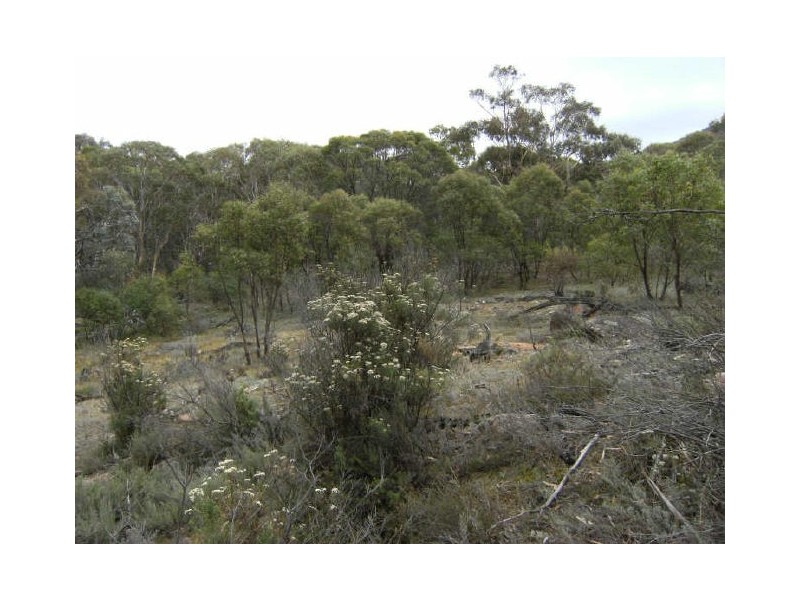 129 Ashvale Road, Adaminaby NSW 2629