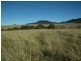 Lot 3/333 Murrells Road, Bunyan NSW 2630