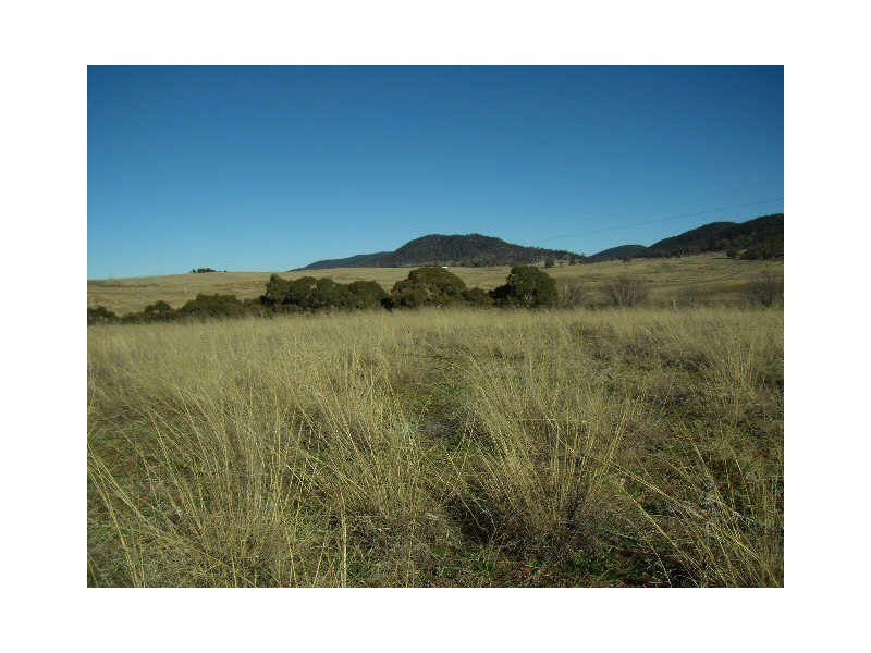 Lot 3/333 Murrells Road, Bunyan NSW 2630
