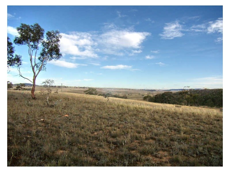Lot 5 Dry Plains Road, Cooma NSW 2630