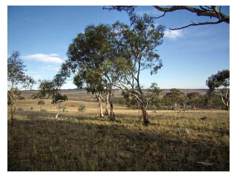 Lot 5 Dry Plains Road, Cooma NSW 2630