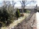 16 Kerwan Street, Cooma NSW 2630