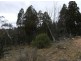 Lot 5 Woodlands Drive, Adaminaby NSW 2629