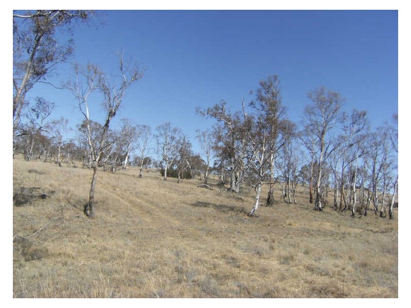 Lot 13 Towrang Vale Road, Cooma NSW 2630