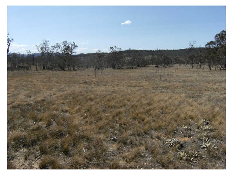 Lot 13 Towrang Vale Road, Cooma NSW 2630