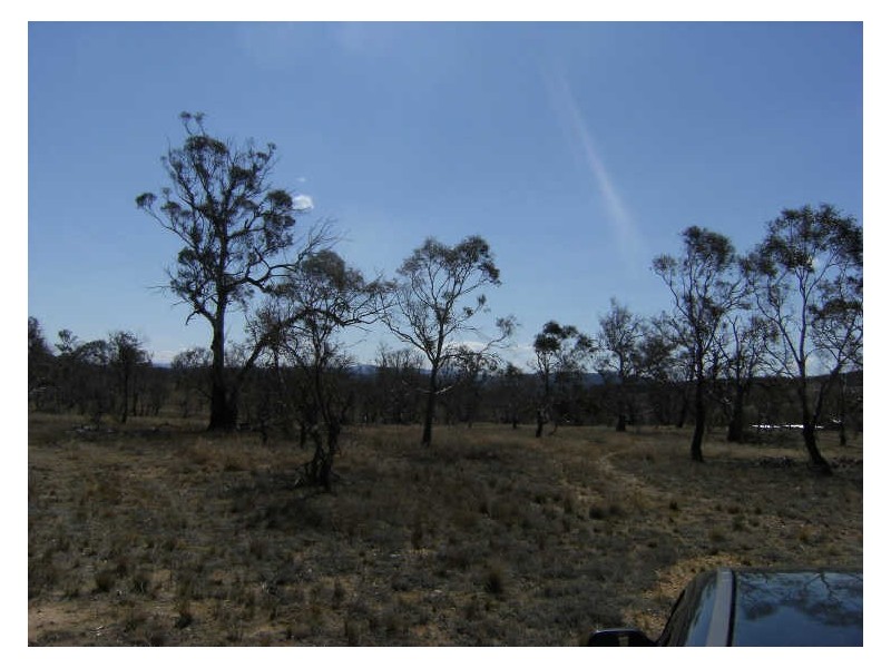 Lot 13 Towrang Vale Road, Cooma NSW 2630