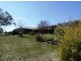 ‘Denbigh’ Monaro Highway, Bombala NSW 2632