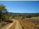 420 Mount Forest Road, Cooma NSW 2630