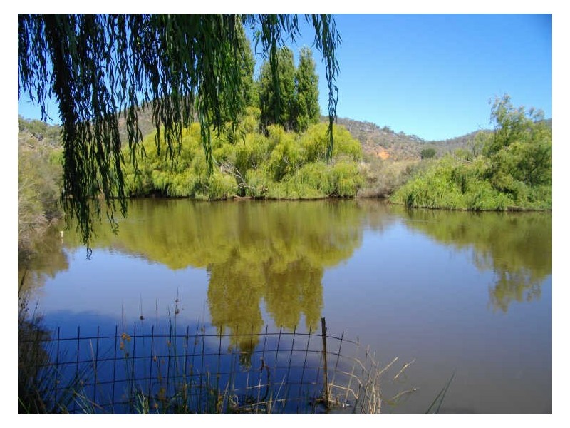 420 Mount Forest Road, Cooma NSW 2630