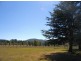 420 Mount Forest Road, Cooma NSW 2630