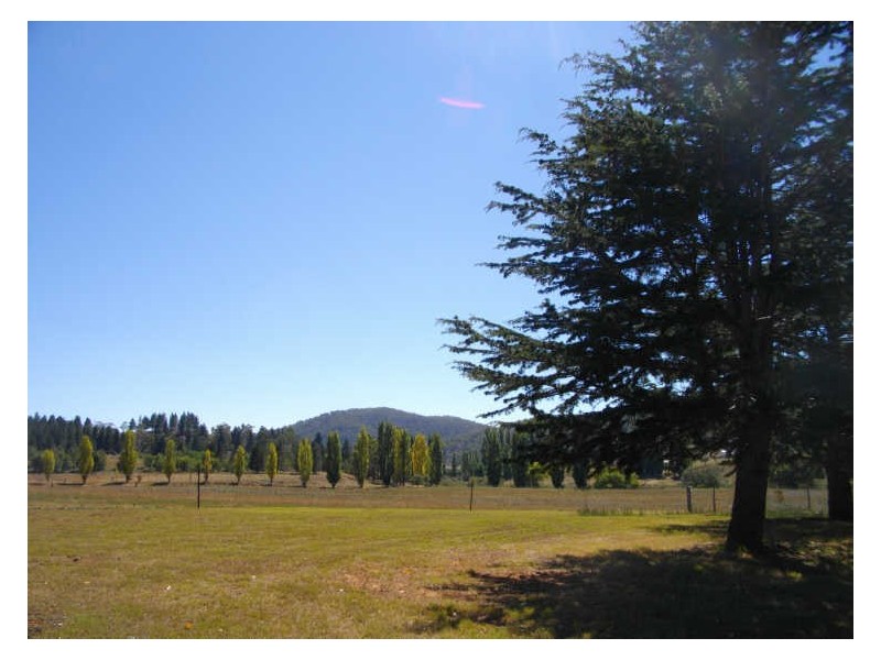 420 Mount Forest Road, Cooma NSW 2630