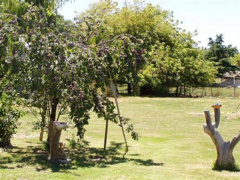 10 Lambie Street, Cooma NSW 2630