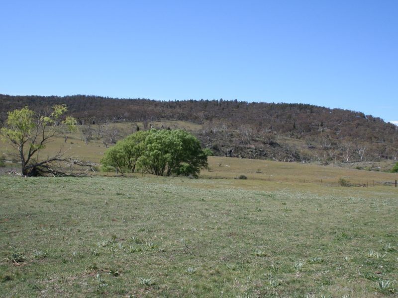 37 Snowy Creek Avenue, Cooma NSW 2630